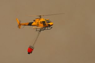 Onemi reporta 24 incendios forestales activos a nivel nacional