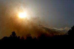 Biobío registra cinco focos de incendios forestales durante esta jornada