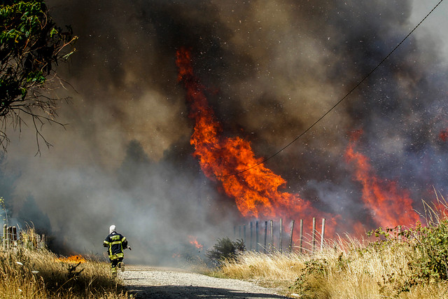 Más de 600 hectáreas de vegetación ha consumido incendio en comuna de Traiguén