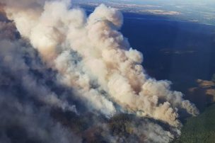 Incendios forestales: 44 en todo el país, 14 de ellos activos y 28 controlados