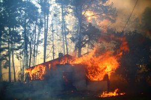 Conaf: 35 incendios forestales se encuentran activos en el país