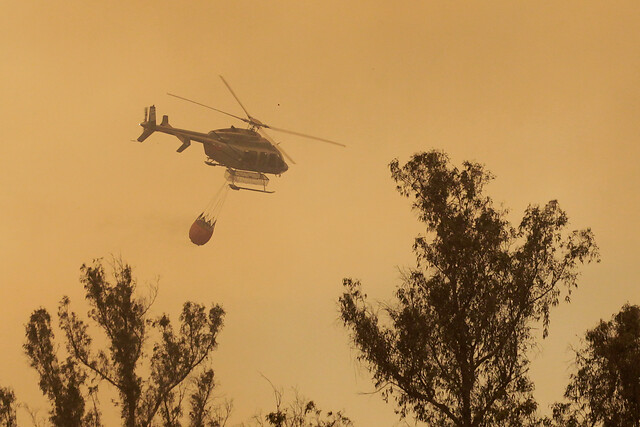 Onemi reporta que 8 incendios forestales continúan activos en el país