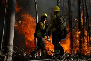 Anuncian evacuación preventiva para sector Siete Tazas por incendio forestal