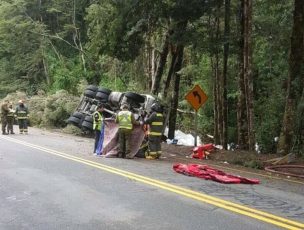 Padre e hija murieron al volcar camión en que transportaban salmones en Puyehue