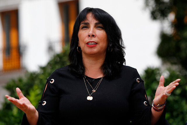 Gobierno espera antecedentes sobre compra de AK-47: “Si amerita, no quepa la menor duda que presentaremos una querella por Ley de Seguridad Interior del Estado”