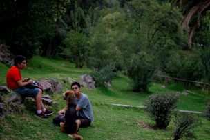 Comienza campaña ecológica para reforestar los “Pulmones de Viña del Mar”