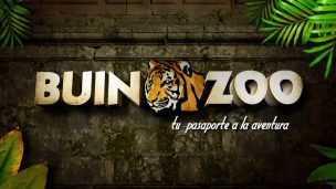 Buin Zoo extiende horario nocturnos el 1 y 8 de febrero