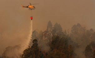 Bajan Alerta Roja en la comuna de Chimbarongo por incendio forestal