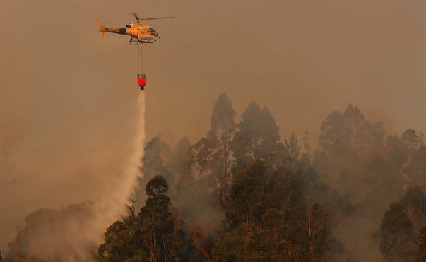Bajan Alerta Roja en la comuna de Chimbarongo por incendio forestal