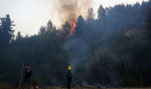 Onemi solicita evacuación de sectores en Galvarino por incendio forestal