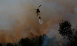 Onemi reporta seis incendios forestales activos a nivel nacional