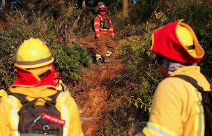 Declaran Alerta Roja para la comuna de San Vicente por incendio forestal