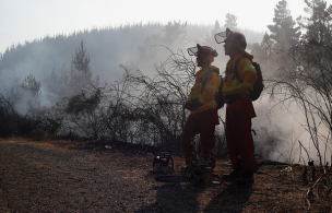 Bajan a Alerta Amarilla en la comuna de Litueche por incendio forestal