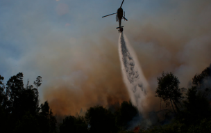 Declaran Alerta Roja para la comuna de Litueche por incendio forestal