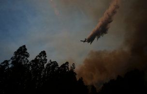 Onemi reporta seis incendios forestales activos a nivel nacional