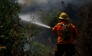 Declaran Alerta Roja para la comuna de Lumaco por incendio forestal