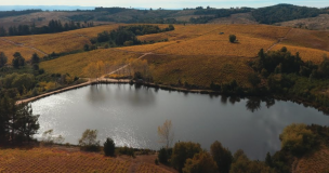 Viña La Causa presenta su primer vino rosé