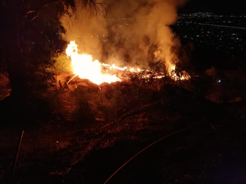 Incendio forestal afectó al cerro San Cristóbal y dejó fuerte olor a humo en Santiago