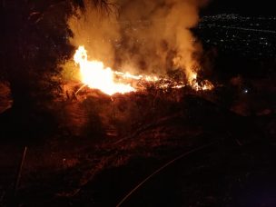 Incendio forestal afectó al cerro San Cristóbal y dejó fuerte olor a humo en Santiago