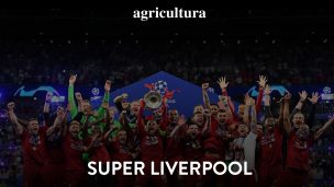 El súper Liverpool de Klopp: el equipo de moda del fútbol mundial