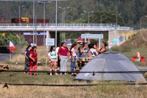 Se han tomado 48 terrenos en La Araucanía a la espera de soluciones habitacionales: alcalde advirtió desalojos