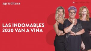 “Las Indomables en Viña 2020”: Paty Maldonado, Cata Pulido y Claudia Schmitd analizan la quinta noche de Festival