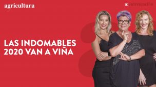 EN VIVO | “Las Indomables en Viña 2020”: Paty Maldonado, Cata Pulido y Claudia Schmitd analizan la cuarta noche de Festival