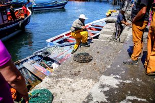 Trabajadores pesqueros presentaron recurso de protección contra la DT