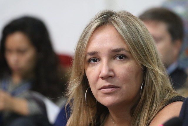 Diputada Hoffmann: “La violencia no viene por parte de Carabineros”