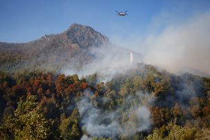 Presidente Piñera viajará hasta el Maule para supervisar estado de incendios forestales