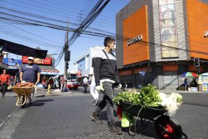 Comenzó la aplicación del cordón sanitario en Chillán