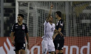 Macul es su fortaleza: los positivos números de Colo Colo como local en la Copa Libertadores