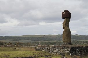 Rapa Nui compra 10 mil test para detectar Covid-19