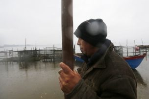 Gobierno y salmoneros acuerdan rebajar número de trabajadores en las plantas por emergencia sanitaria