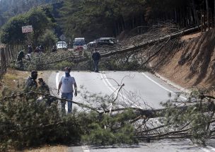 Covid-19: Habitantes de Vichuquen bloquean rutas por la llegada de turistas