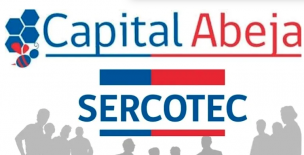 Se lanzó Capital Abeja para emprendedoras y Sercotec RM puso a disposición capacitaciones virtuales para postular a través de sus 14 centros