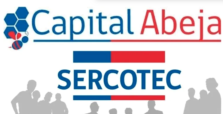 Se lanzó Capital Abeja para emprendedoras y Sercotec RM puso a disposición capacitaciones virtuales para postular a través de sus 14 centros