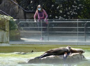 Alemania se prepara para abrir lugares de culto, zoológicos y museos