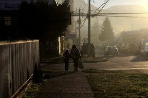 UTalca: Mala calidad del aire por uso de leña podría agravar cuadros de Covid-19