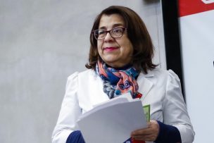 Ministro Mañalich confirma que Rosa Oyarce no se incorporará a trabajar en el Ministerio de Salud