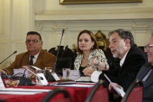 Senadores y expertos expresaron preocupación por medidas del Gobierno