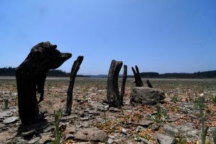 Coquimbo: GORE concretará entrega de recursos para mitigar la sequía