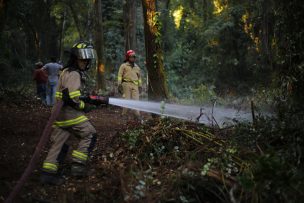 Conaf cierra Parques Nacionales este fin de semana ante riesgo de incendios