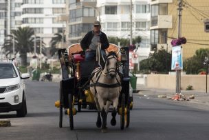 Parlamentarios y empresarios piden medidas concretas para proteger a las pymes