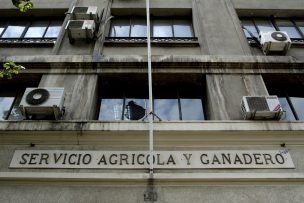DGMN suspende actividades de caza a nivel nacional