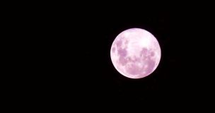 Así se vio la Súper Luna Rosa la noche del pasado martes