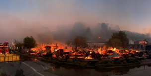 12 viviendas y 30 hectáreas consumidas en incendio en comuna de Arauco