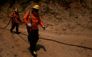 Mantienen Alerta Roja para la comuna de Arauco por incendio forestal