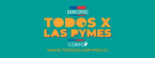 Sercotec y Corfo lanzaron plataforma web para ayudar a las pymes