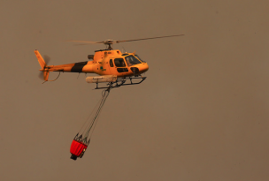 Onemi declara alerta roja por incendio forestal en la comuna de Natales